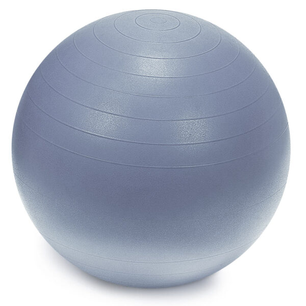Sprite stability ball gray